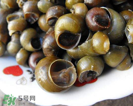 田螺可以凈化水質(zhì)嗎？田螺能凈化水質(zhì)嗎？