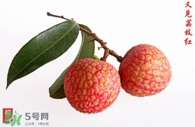 4月份有荔枝嗎？四月份有荔枝嗎？