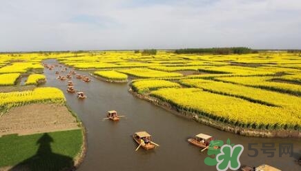 四月份去哪里旅游比較好？四月份最適合旅游的地方