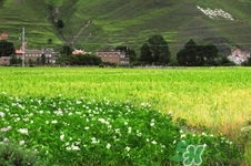四月份去哪里旅游比較好？四月份最適合旅游的地方