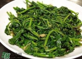 枸杞頭怎么吃？枸杞頭如何吃