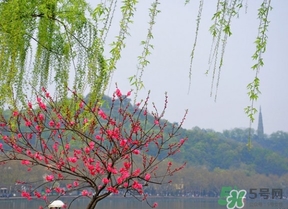 四月份去哪里旅游比較好？四月份最適合旅游的地方