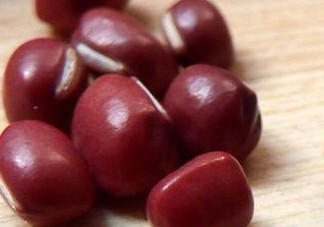 赤豆是什么豆？赤豆是紅豆嗎