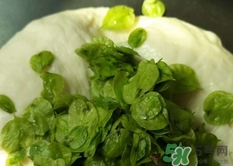 榆錢(qián)能冷凍保存嗎?榆錢(qián)可以冷藏保存嗎?