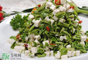 香椿可以助孕嗎？香椿有助孕的功效嗎？