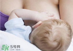 香椿會回奶嗎？吃香椿會回奶嗎？