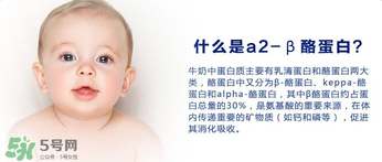 A2奶粉分幾種？A2奶粉有幾個種類？