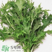 艾蒿能吃嗎？艾蒿能做菜吃嗎
