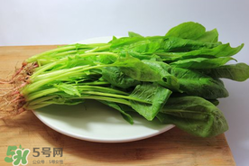 香椿和菠菜能一起吃嗎？香椿和菠菜能一起吃好嗎？