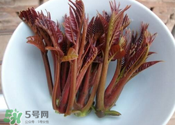 香椿和雞肉可同吃嗎？香椿和雞肉能一起吃嗎？