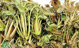 香椿和平菇能一起吃嗎？香椿和香菇能一起吃嗎？