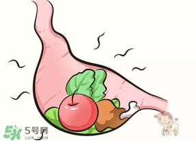吃香椿會上火嗎？香椿吃多了會上火嗎？