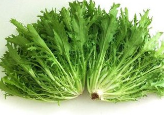 苦苣怎么吃？炒苦苣菜的做法