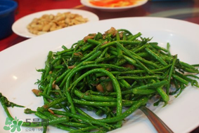 樹仔菜有毒嗎？樹仔菜有沒有毒？
