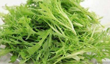苦苣菜能生吃嗎？苦苣菜可以生吃嗎