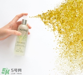 歐緹麗和悅木之源哪個(gè)好？歐緹麗皇后水和悅木之源菌菇水