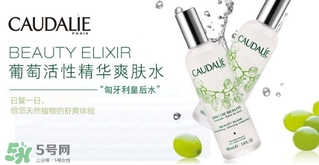 歐緹麗和悅木之源哪個(gè)好？歐緹麗皇后水和悅木之源菌菇水