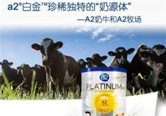 A2奶粉分白金和鉑金嗎？A2奶粉白金鉑金有區(qū)別嗎？