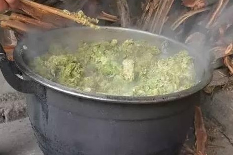 榆錢怎么蒸？蒸榆錢的做法