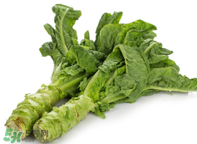 萵筍為什么會(huì)苦？萵筍苦能吃嗎？