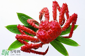香椿能和海鮮一起吃嗎？香椿和海鮮能一起吃嗎？