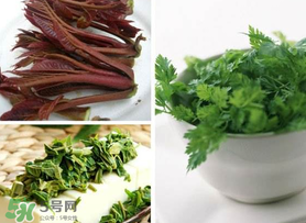 香椿和香菜能一起吃嗎？香椿和香菜怎么做？