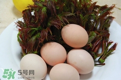 香椿葉能吃嗎？香椿葉孕婦能吃嗎？