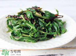 香椿和芹菜能一起吃嗎？香椿可以和芹菜同吃嗎？