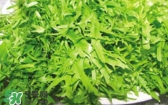 痛風(fēng)能吃苦菊嗎？苦菊痛風(fēng)人可以吃嗎
