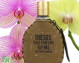 diesel迪塞爾是什么牌子？diesel是哪個(gè)國(guó)家的？