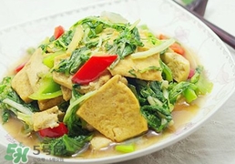 苦菊能和豆腐一起吃嗎？苦菊可以和豆腐一起吃嗎