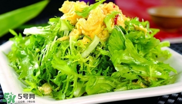 苦菊能和韭菜一起吃嗎？苦菊可以和韭菜一起吃嗎