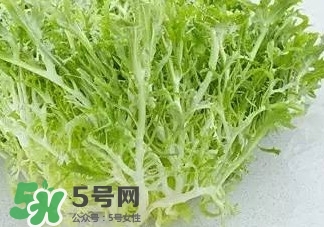 苦菊能和羊肉一起吃嗎？苦菊可以和羊肉一起吃嗎