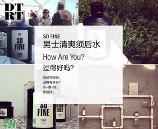 DTRT杜比麗夫是哪個國家的？杜比麗夫什么檔次