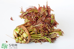 香椿樹什么時候發(fā)芽？香椿樹什么時候種植