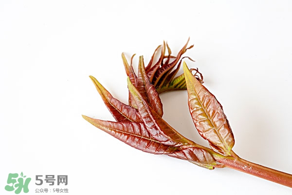 香椿葉怎么吃？香椿葉的吃法