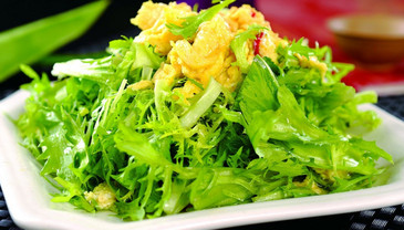 苦菊能和雞蛋一起吃嗎？苦菊可以和雞蛋一起吃嗎