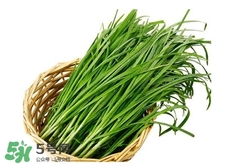 苦菊能和韭菜一起吃嗎？苦菊可以和韭菜一起吃嗎