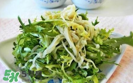 苦菊用不用焯水？涼拌苦菊用開水焯水嗎