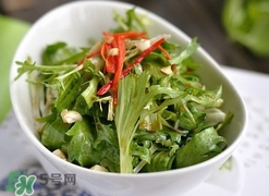 苦菊苦嗎？苦菊苦不苦