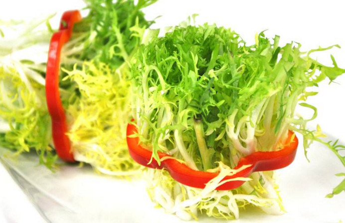 苦菊和什么相克？苦菊不能和什么同吃