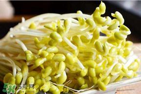 香椿和豆芽能一起吃嗎？香椿豆芽的做法大全