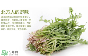 婆婆丁不能與什么同食？婆婆丁不能和什么一起吃？