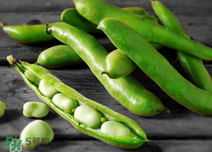 蠶豆什么時候成熟？蠶豆什么時候上市？