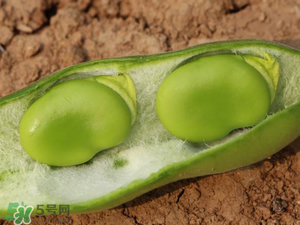 蠶豆什么時候成熟？蠶豆什么時候上市？