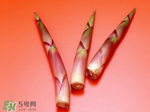 竹筍什么人不能吃？哪些人不適合吃竹筍？