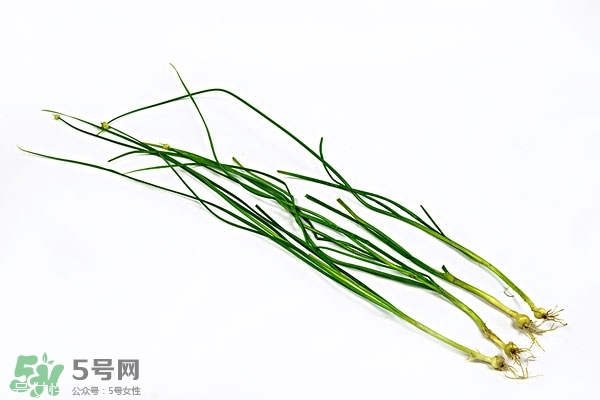 小根蒜的根能吃嗎？小根蒜的須子可以吃嗎