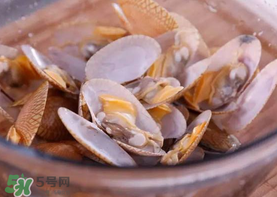 花甲怎么養(yǎng)不會(huì)死？花甲怎么養(yǎng)到用第二天？