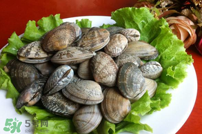 花甲不開口怎么辦？怎么讓花甲開口？