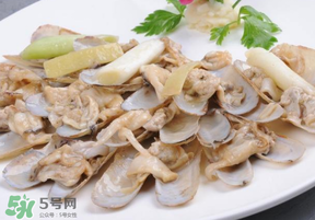 花甲怎么保存不會死？花甲怎么保存到次日？